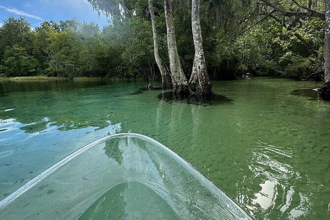 Private 2Hour Clear Kayak/ROC Paddle Board Rental on Silver River - Why This Experience Offers Good Value