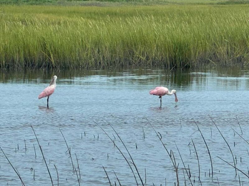 PRIVATE 2HR DOLPHIN CRUISE - Frequently Asked Questions