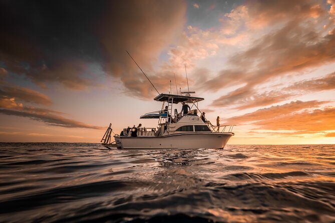 Private 3.5 hr Snorkel Charter in Waikiki - Discovering Waikiki’s Marine Treasures in Style