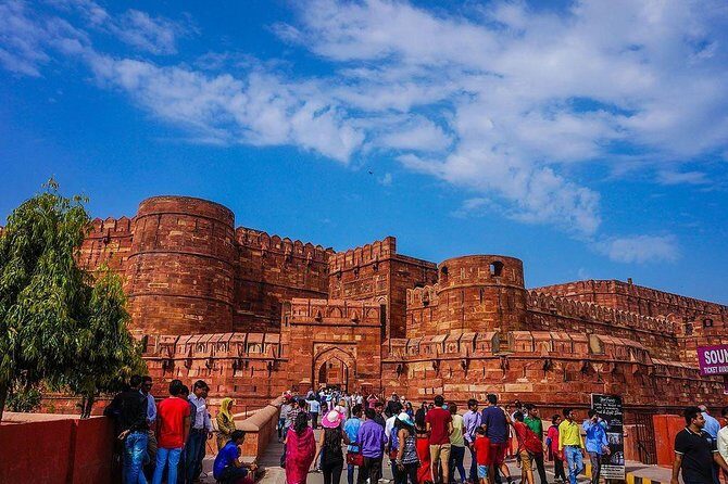 Private 3-Day Ranthambhore Tiger Tour from Agra ending in Jaipur - The Details That Make This Tour Stand Out