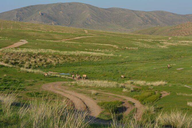 Private 3-Day Tour of National Parks From Ulaanbaatar - The Practicality and Value of This Tour