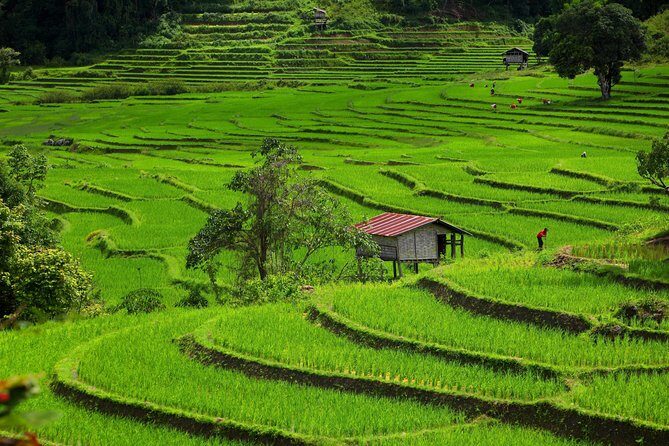Private: 3 days 2 night trip: ChaingMai-Chaingrai- The Golden Triangle trip - Practical Details & Travel Tips