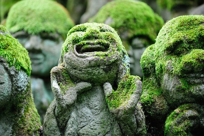 Private 3-hour Kyoto Arashiyama Rickshaw Tour - An In-Depth Look at the Kyoto Arashiyama Rickshaw Tour