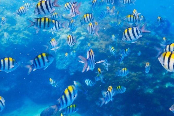 Private 3-Hour Snorkeling Tour with Arch Tour and Beach Time - The Experience on the Water