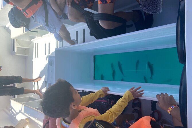 Private 3-Hour Snorkeling Tour with Arch Tour and Beach Time - Value for Money and Practical Considerations