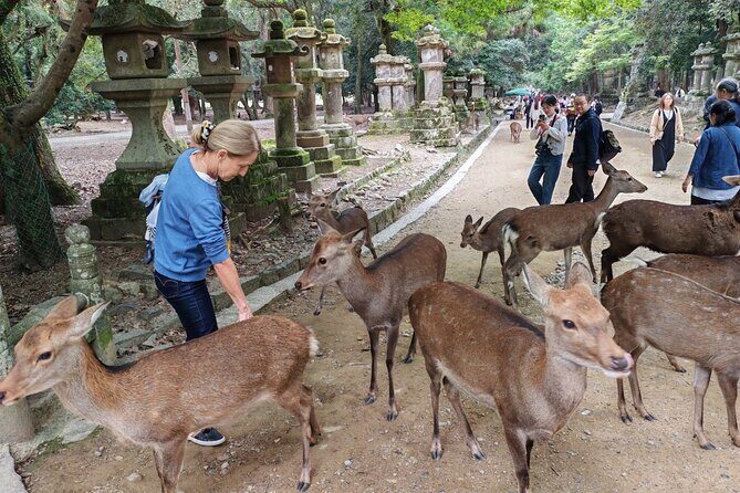 Private 3-Hour UNESCO Heritage Sites & Deer Park Tour - The Convenience of a Private Tour