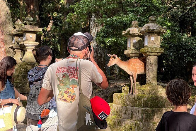 Private 3-Hour UNESCO Heritage Sites & Deer Park Tour - Authentic Insights from Past Participants