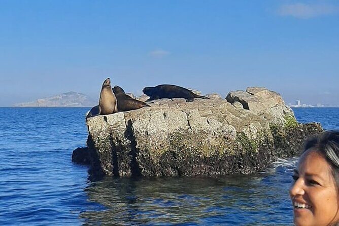 Private 3-hour Whale Watching Activity in Mazatlan - Frequently Asked Questions (FAQs)