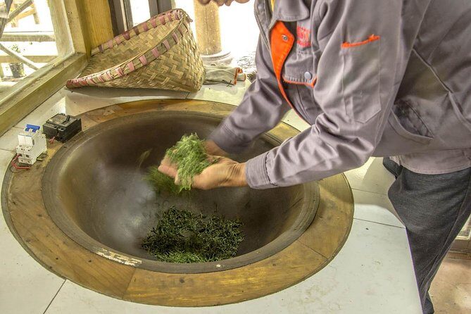 Private 3 Hours Chengdu Local Tea Market Visit (Whole-sales Market) - A Complete Look at the Tour: What to Expect