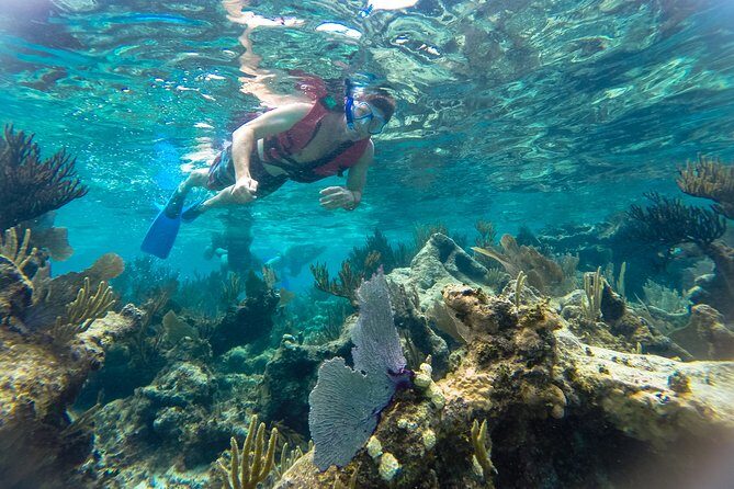 Private 3 in 1 Discovery Combo Tours Tulum Ruins, Snorkeling & Cenotes Adventure - A Closer Look at the Itinerary