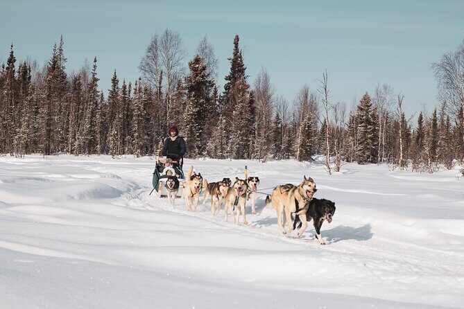 Private 30 Minute Mush Along Historic Yukon Quest Trail - Who Should Consider This Tour?