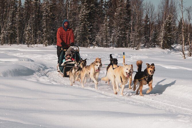 Private 30 Minute Mush Along Historic Yukon Quest Trail - Frequently Asked Questions