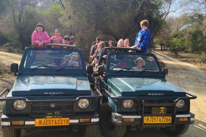 Private 4-Day Tiger Safari and Golden Triangle Tour from Delhi - The Sum Up