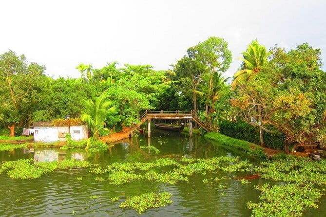 Private 4-Day Tour of Thekkady and Aleppey with Houseboat Cruise from Madurai - What Makes This Tour Stand Out?
