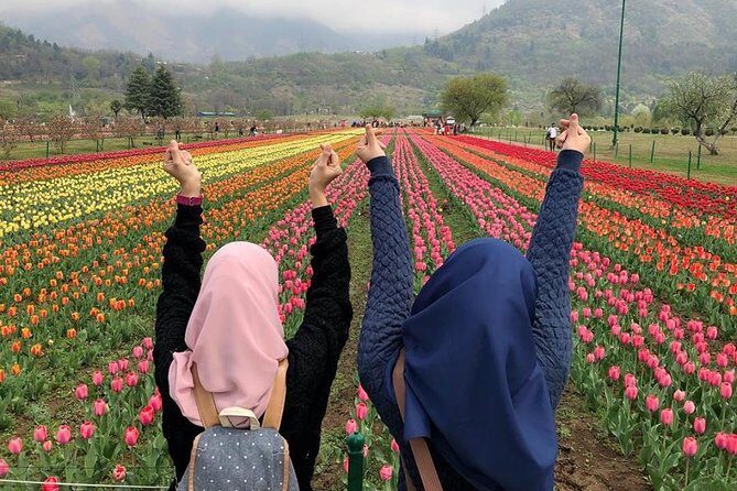 Private 4 Days Kashmir Tour Package - A Deep Dive into the 4-Day Kashmir Tour Experience