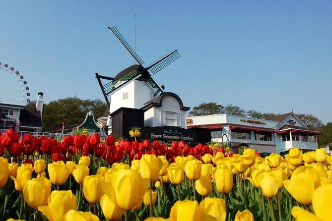 Private 4 days Nami Island&Petite France&Seoul&Everland tour - FAQ