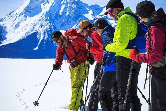 Private 4 Hour Beginner Cross Country Skiing in Grand Teton - The Real Experiences from Past Participants