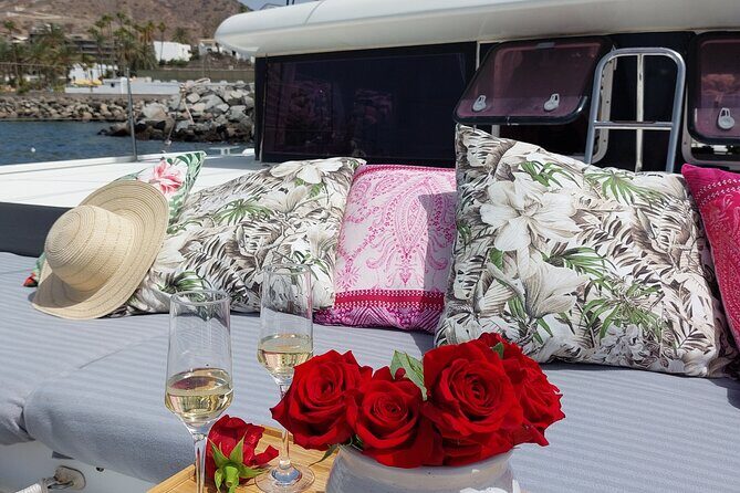 Private 4 hour Catamaran cruise in south coast of Gran Canaria - The Sum Up