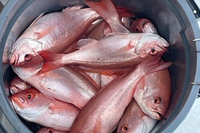 Private 4-Hour Fishing Charter on the Special K - Practical Considerations