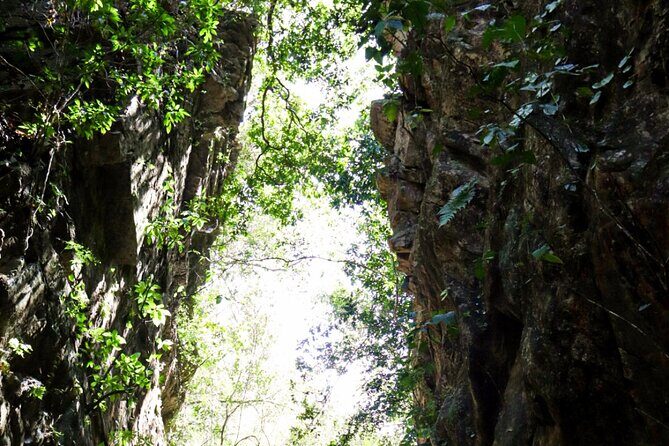 Private 4 hour Hiking Adventure + Breakfast in Nogalito Ecopark - Why This Tour Offers Good Value