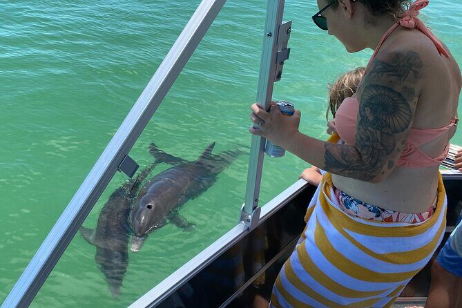 Private 4 Hour Shell Key Island Adventure Dolphins and Shells - Why Choose This Tour?