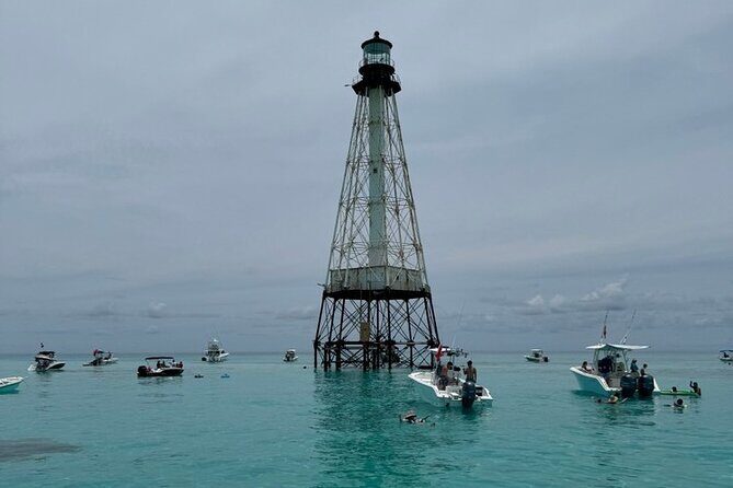 Private 4 Hour Snorkel and Sandbar Charter in Islamorada - The Sum Up