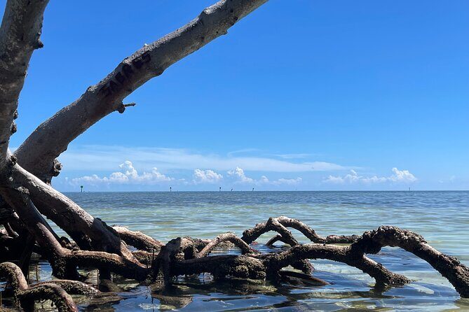 Private 4-Hour Snorkel Charter. Snorkel Gear Included! - Final Thoughts