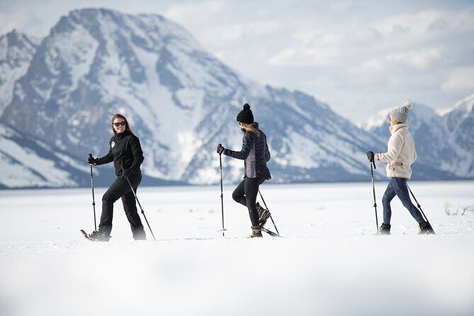 Private 4 hour Snowshoe in Grand Teton National Park - The Details: What to Expect from the Tour