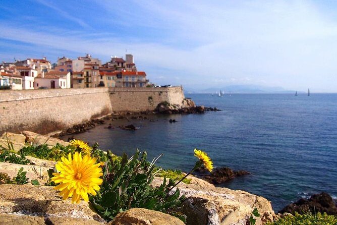 Private 4-hour Tour of Cannes and Antibes from Cannes with private driver - Key Points