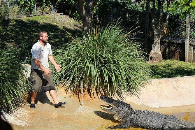 Private 4-hour Tour of Everglades from Miami Dade - Key Points