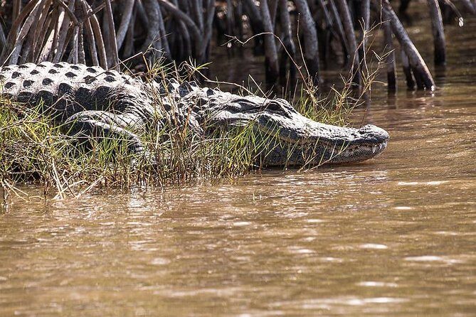 Private 4-hour Tour of Everglades from Miami Dade - FAQ Section