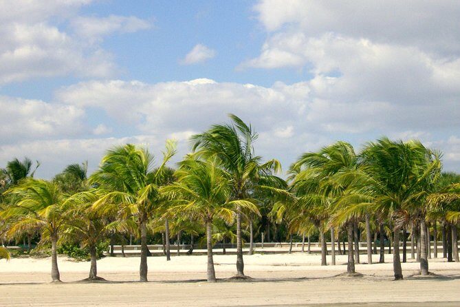 Private 4-hours City Tour of Miami from Miami Airport with private driver/guide - The Experience in Detail