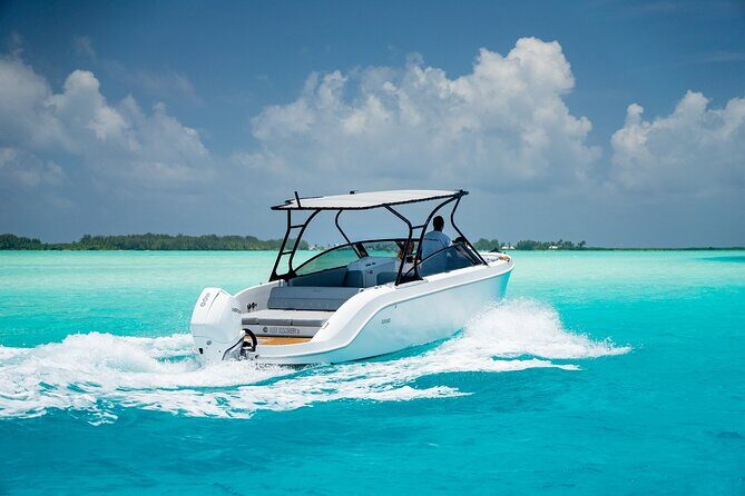 Private 4 Hours Reef Discovery Luxury Private Treasure Hunt in Bora Bora - FAQ