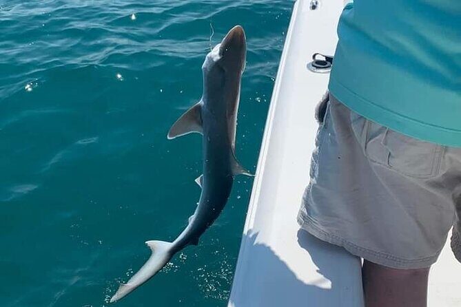 Private 4 hr Fishing Tour with Master Captain Bill Phillips - The Real Value and What Travelers Say