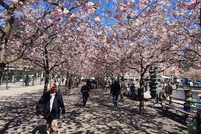 Private 4h VIP city tour by limousine car and guide in Stockholm - FAQ