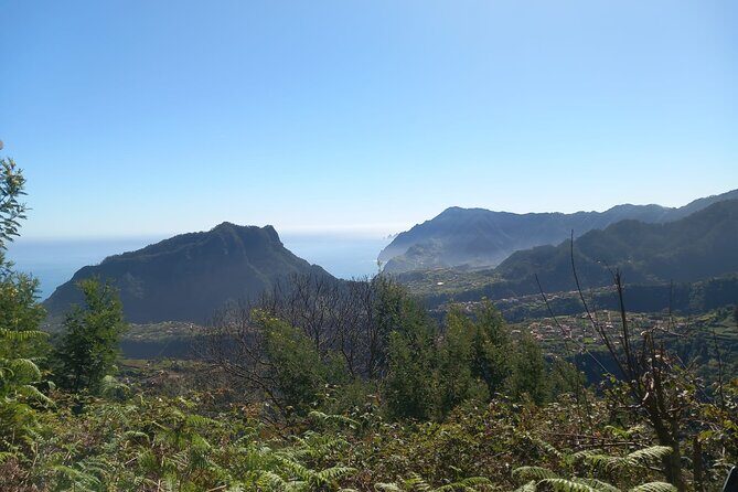 Private 4x4 Jeep Full Day to Santana or Porto Moniz - Exploring Madeira’s Natural Beauty and Cultural Charm