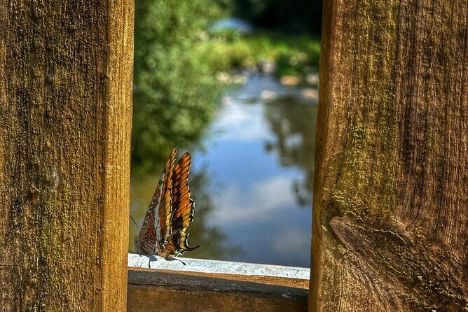 Private 4x4 Mountain Tour from Porto - Final Thoughts