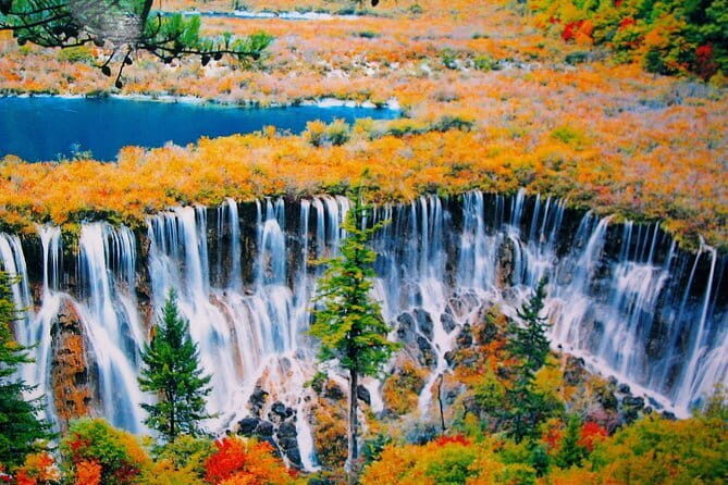 Private 5-Day Amazing Tour: Chengdu And Jiuzhaigou Tour Combo Package - Chengdu & Jiuzhaigou 5-Day Private Tour: A Truly Authentic Adventure