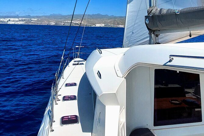 Private 5 hour catamaran cruise in south of Gran Canaria - Authentic Experiences from Past Guests