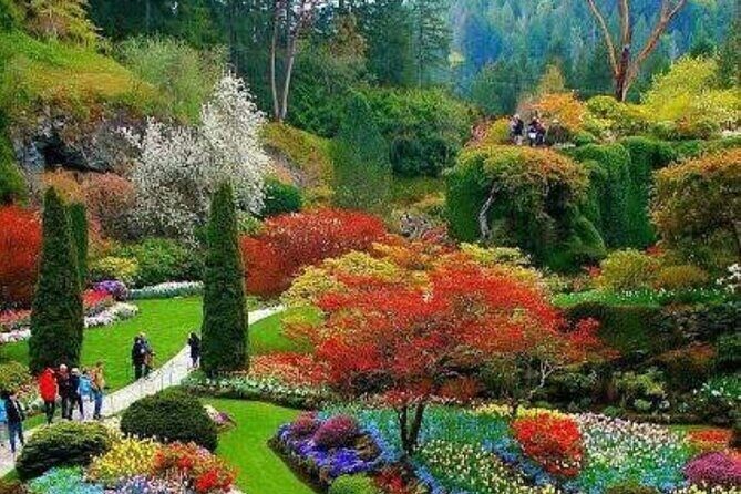 Private 5 Hour Tour of Butchart and Butterfly Gardens - Practical Details: Logistics and Comfort