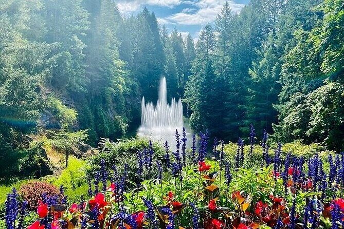 Private 5 Hour Tour of Butchart and Butterfly Gardens - From Reviews and Experience Insights