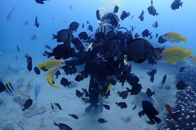 Private 6 Day Tour in South Taiwan - Why This Tour Offers Great Value