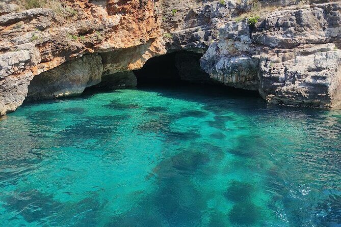 Private 6 H Boat Dafina Bay & Bear's Bay - Who Will Love This Tour?