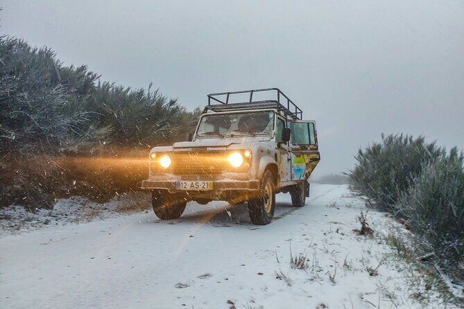 Private 6-hour Jeep Tour Serra da Estrela - What Makes This Tour Stand Out?