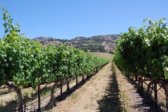 Private 6 Hour Napa Valley Wine Tour - A Closer Look at the Experience