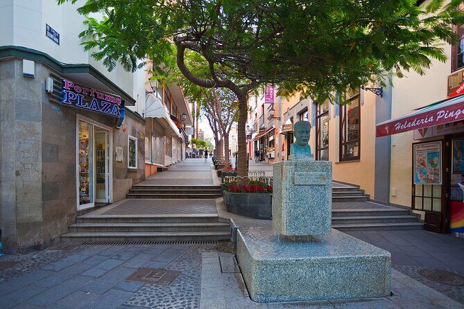 Private 6-hour Tour of La Orotava + Puerto de La Cruz with Hotel pick-up - Final Thoughts