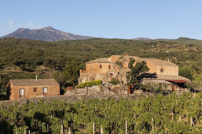 Private 6-Hour Tour of Three Etna Wineries with food&wine tasting - Transportation and Comfort