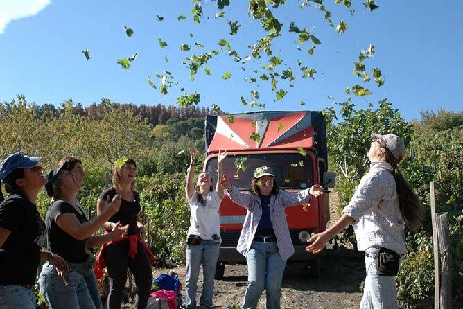 Private 6-Hour Tour of Three Etna Wineries with food&wine tasting - Final Thoughts