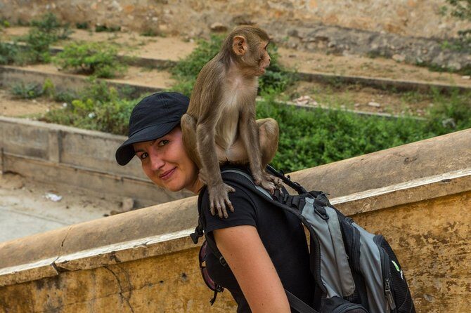 Private 6 Hours: Jaipur Temples Tour - Exploring Jaipur’s Temples: A Deep Dive