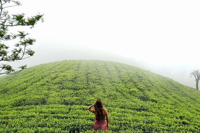 Private 7 Days Sri Lanka Tour with Safari and Cultural sites - Frequently Asked Questions